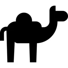 Camel