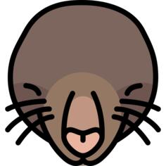 痣