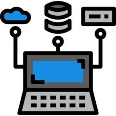 Api