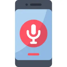 Voice assistant