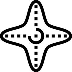 海星