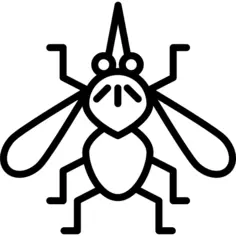 Mosquito