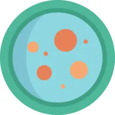 Petri dish