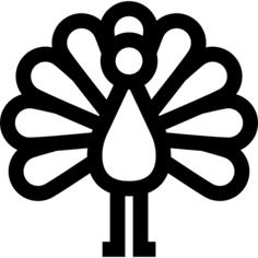 孔雀