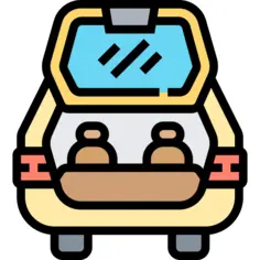 树干
