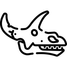 化石