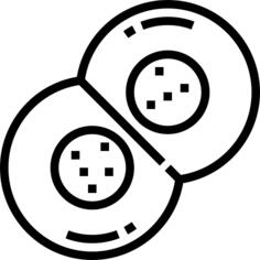 Mitosis
