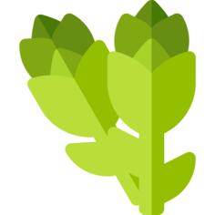 芦笋