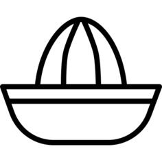 Juicer