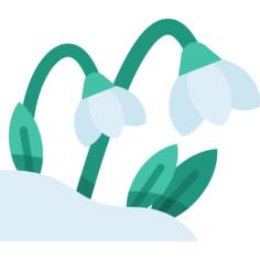 Snowdrop