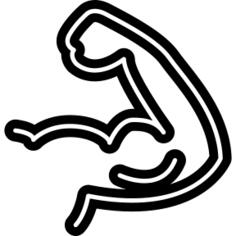 肌肉弯曲轮廓