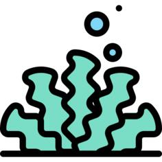 海草