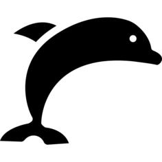 海豚