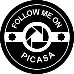 Follow me on Picasa social badge
