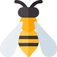 黄蜂