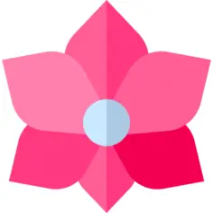 兰花