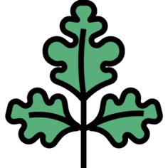 Parsley