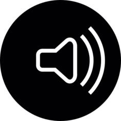 Speaker Circular Button