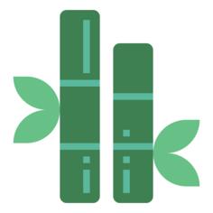 Bamboo