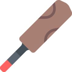 Cricket bat