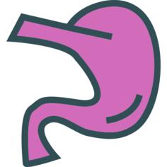 Stomach