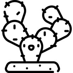 Cactus