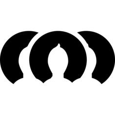 Multiple user profile images