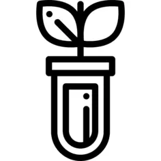 管