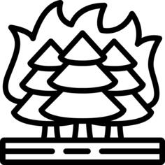 Forest fire