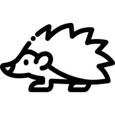 猬
