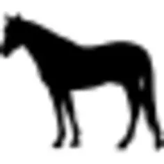 Horse black silhouette facing to left
