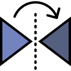 Mirror horizontally
