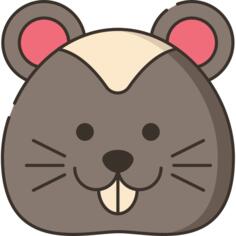 Hamster