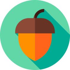 Hazelnut