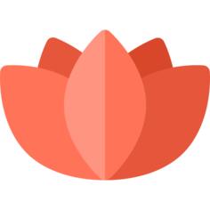 莲花