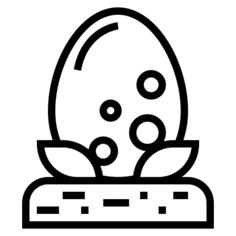 Egg