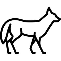 狼