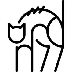 猫