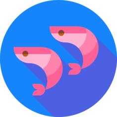 Shrimp