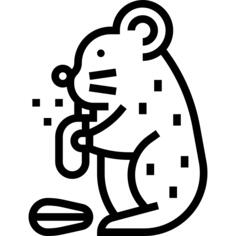 Hamster