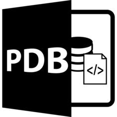 Pdb文件格式符号