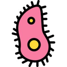 虫