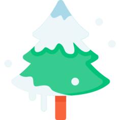 Fir