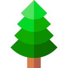 Spruce