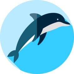 海豚