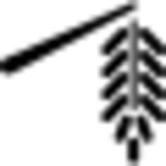 Chinese Decoration