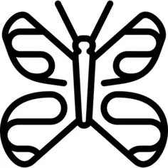 Swallowtail butterfly