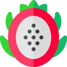 火龙果