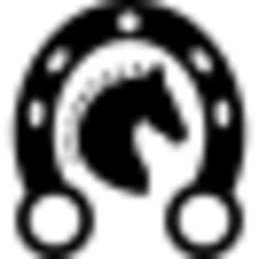 Black head horse in a horseshoe