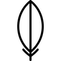 Feather